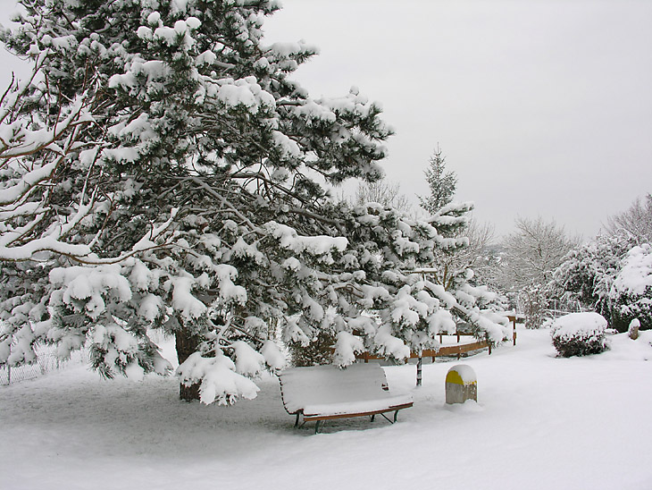 Hiver_21_© Michel Ponchet.JPG